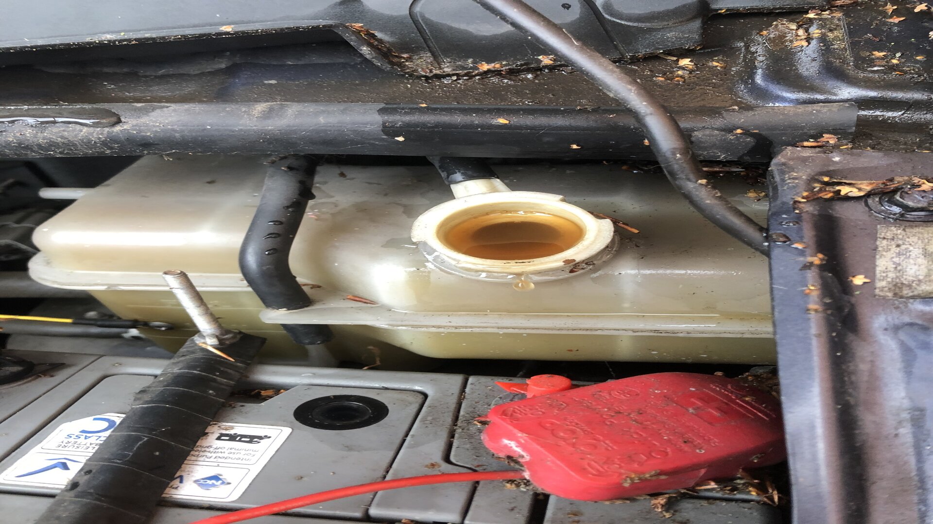 Cloudy coolant Worcester's Mobile Mechanic